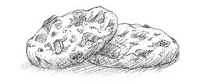 drawing of 2 chocolate-chip cookies