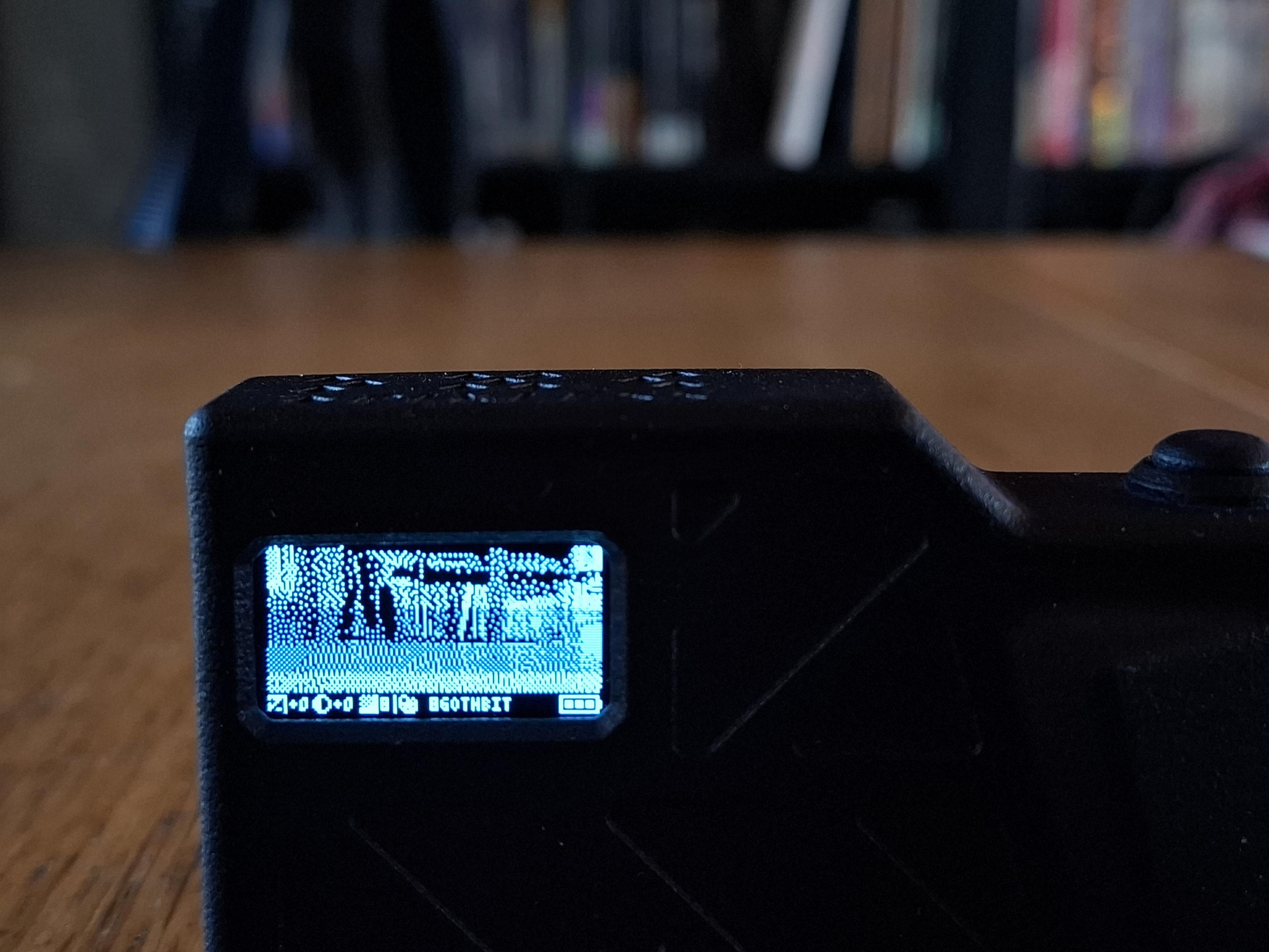 Back of the camera, we seen the small viewfinder screen in black and white, with part of a book case in the distance.