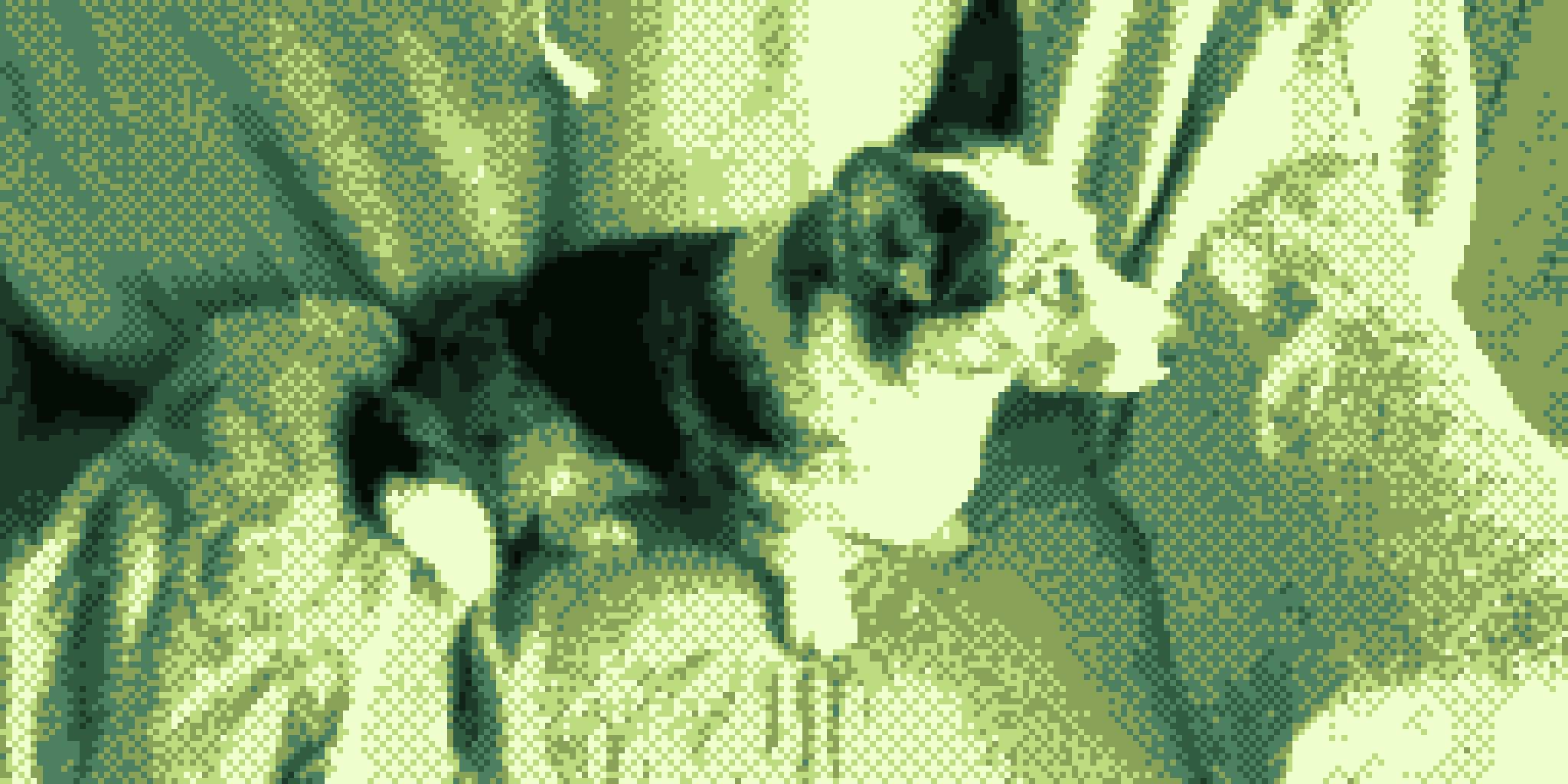 Example of a picture taken with the camera, features a Corgi sitting on a sofa. The color palette is green with dithering effect.