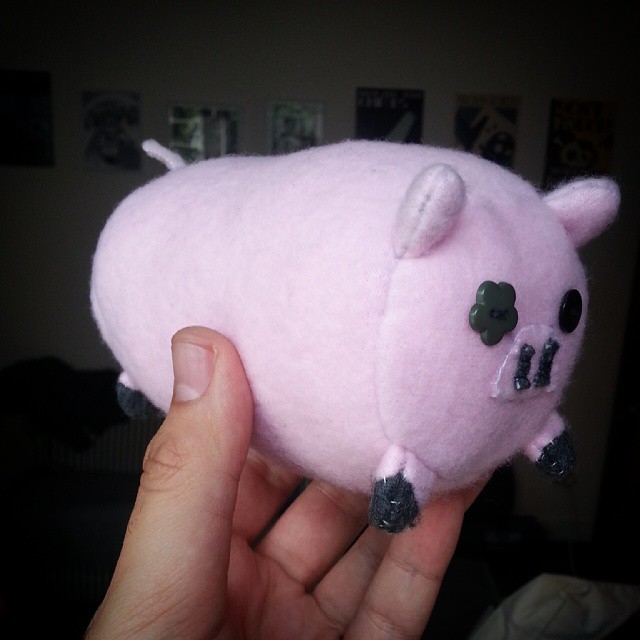 pig