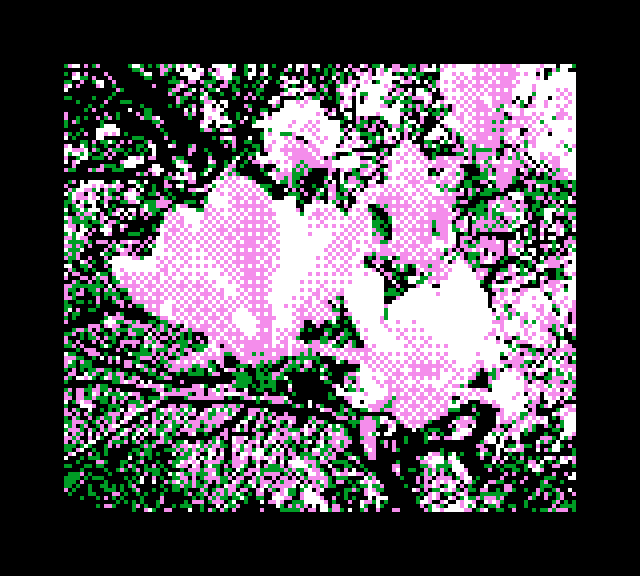 Game Boy Camera photo of some pink and white blossoms on a tree