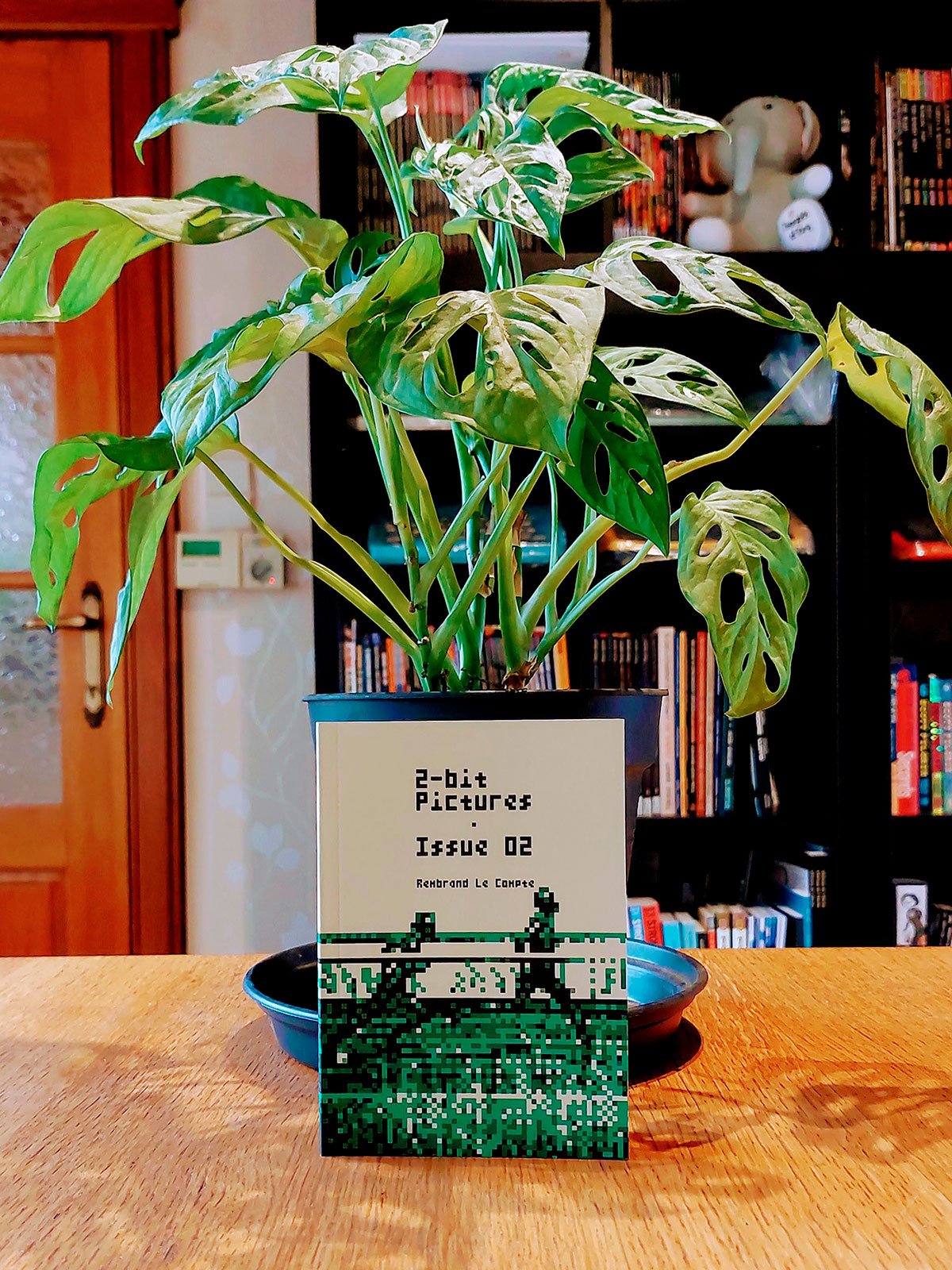 the cover of the second photobook, against a bookcase and plant as backdrop