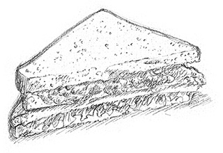 drawing of a sandwich