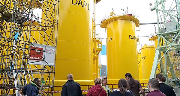 photo of giant yellow 