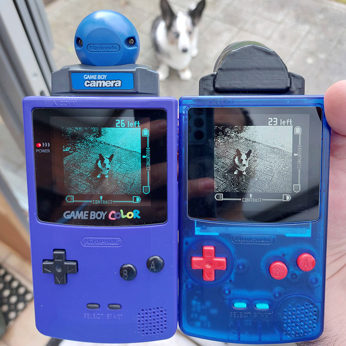 2 game boy color handhelds, side by side with a dog in the background