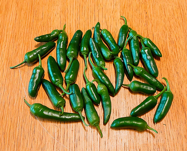 photo of a lot of jalapenos