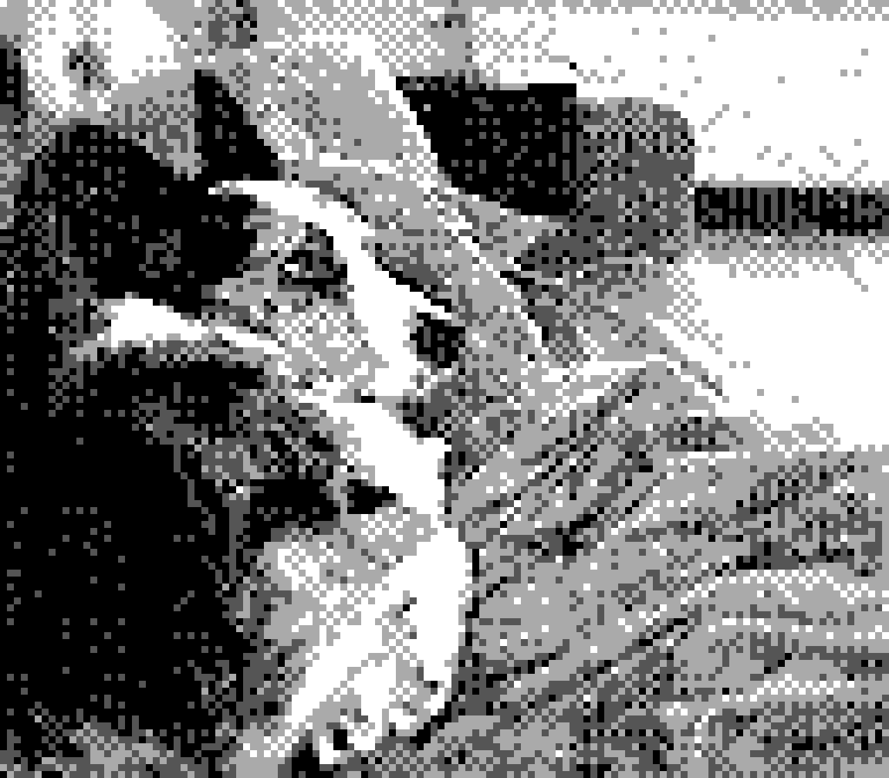 Gameboy Camera quality tests